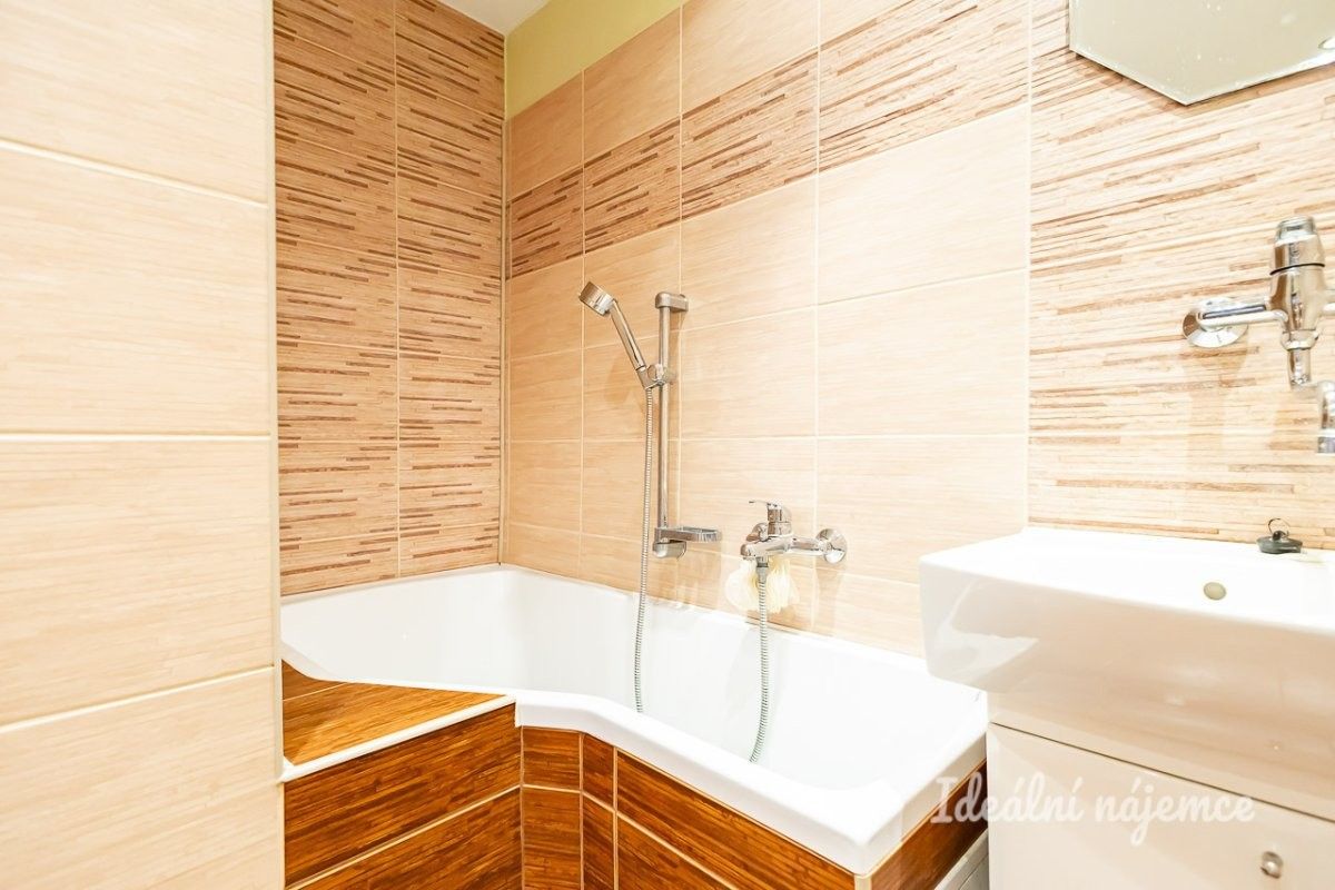 Pronájem bytu 2+1 41 m² - foto 11