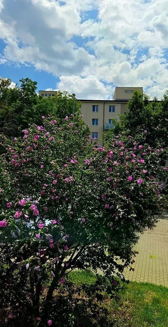 Pronájem bytu 1+kk 24 m² - foto 8