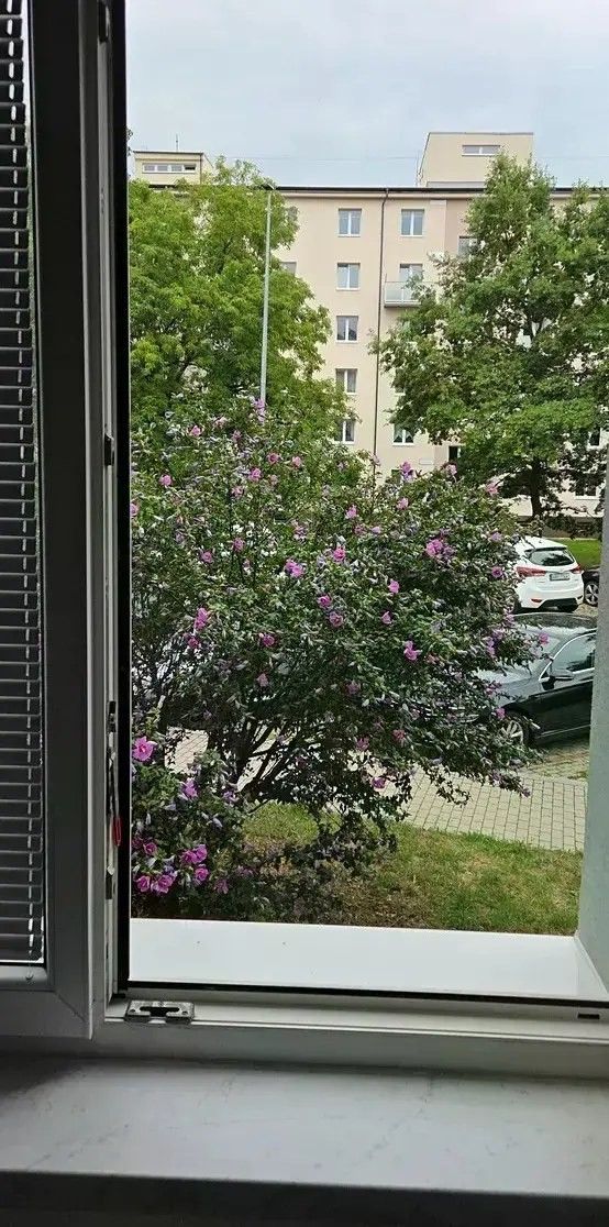 Pronájem bytu 1+kk 24 m² - foto 9