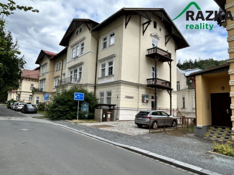Pronájem komerčního prostoru 25 m² - foto 8