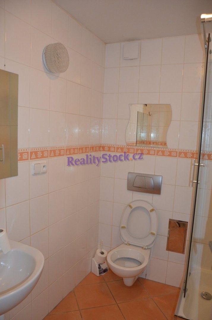Pronájem bytu 1+kk 32 m² - foto 6