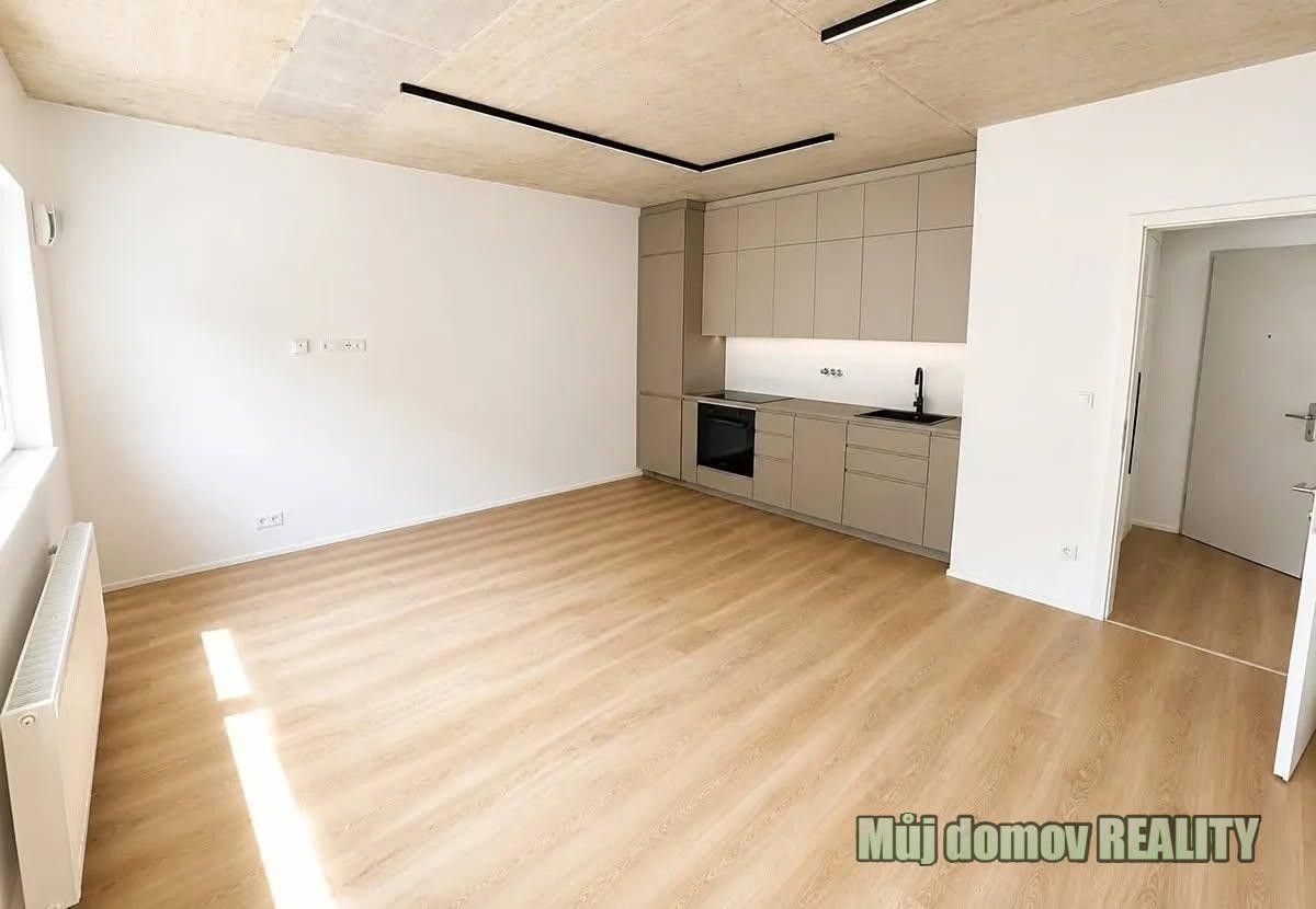 Pronájem bytu 2+kk 55 m² - foto 10