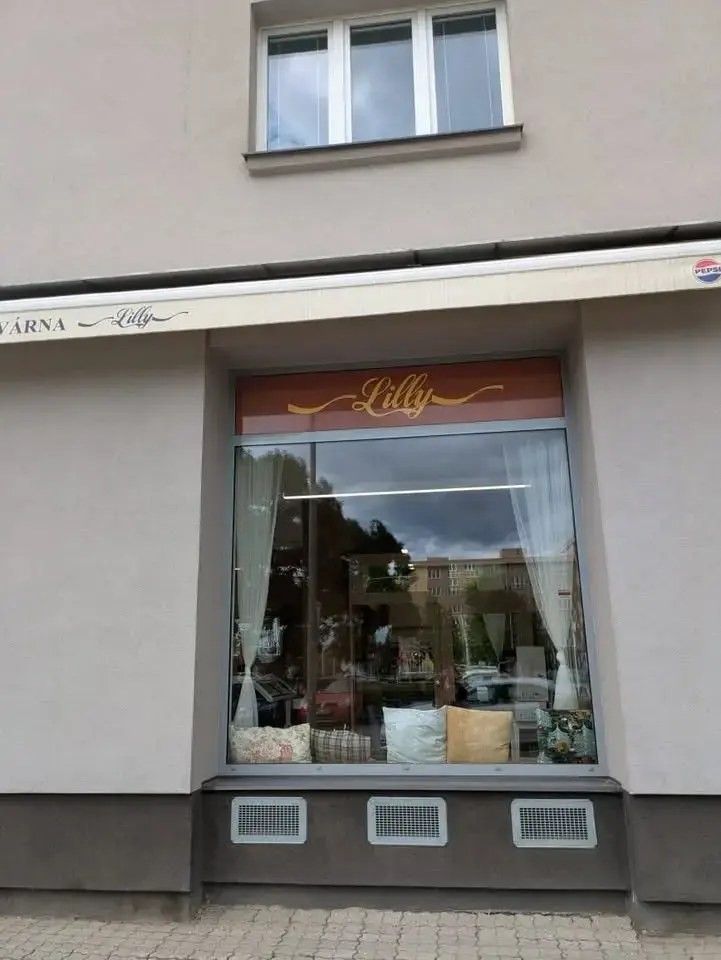 Pronájem bytu 1+kk 26 m² - foto 11