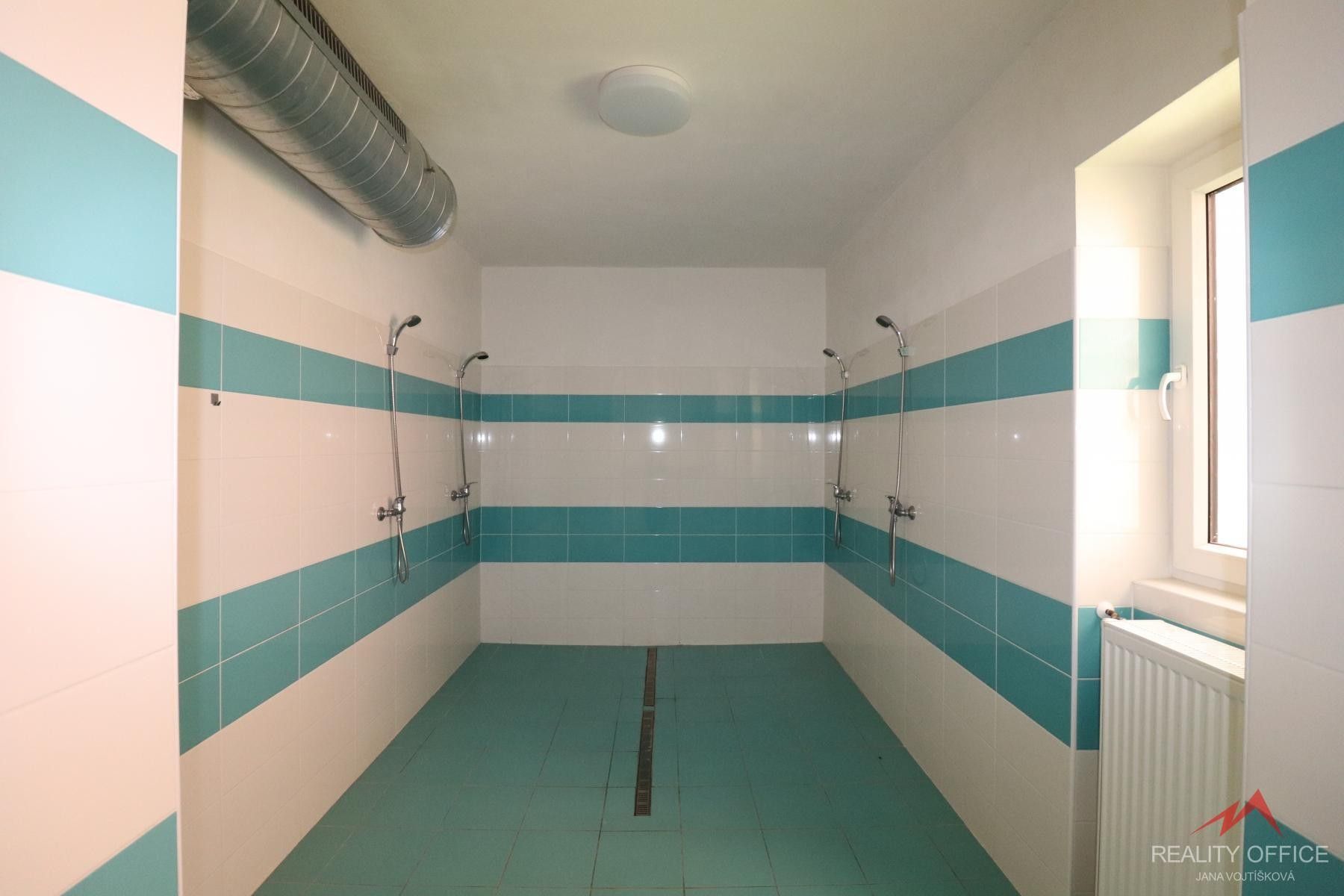 Pronájem nemovitosti 373 m² - foto 8