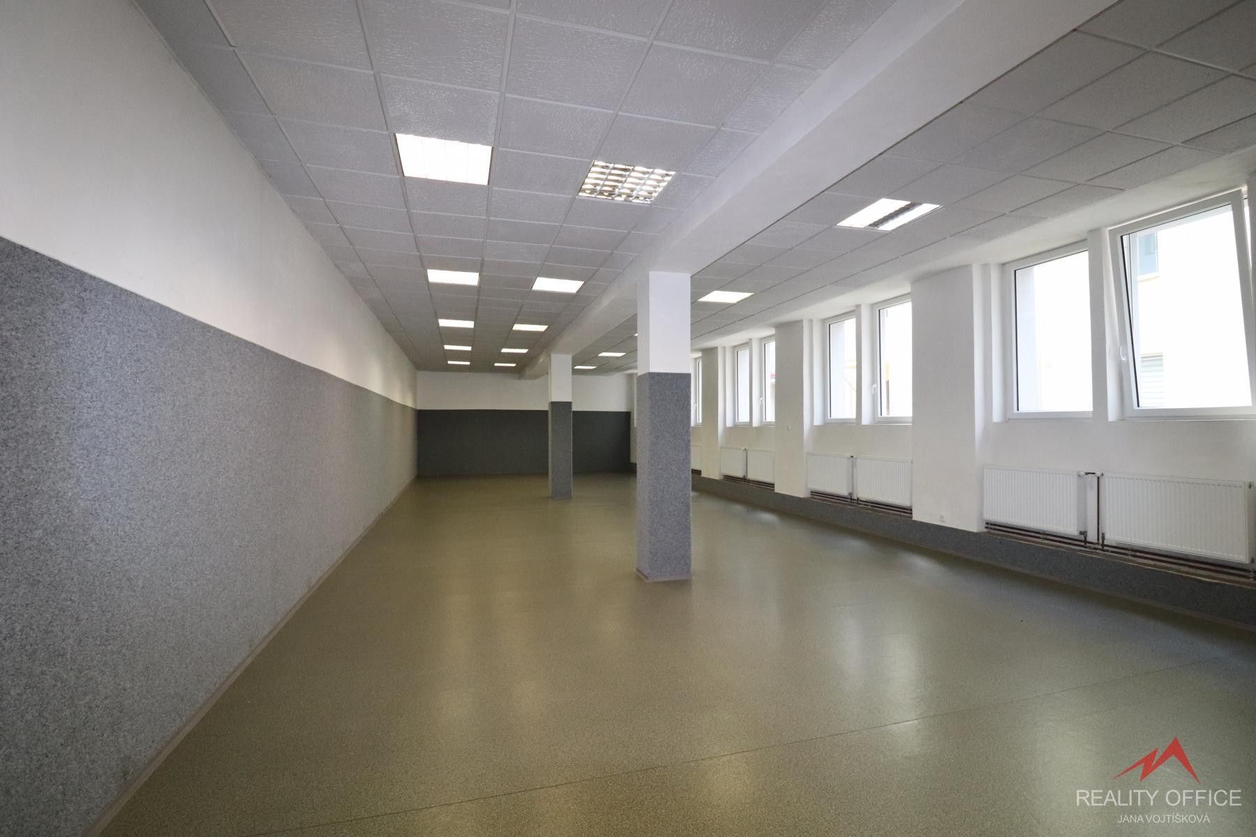 Pronájem nemovitosti 373 m² - foto 3