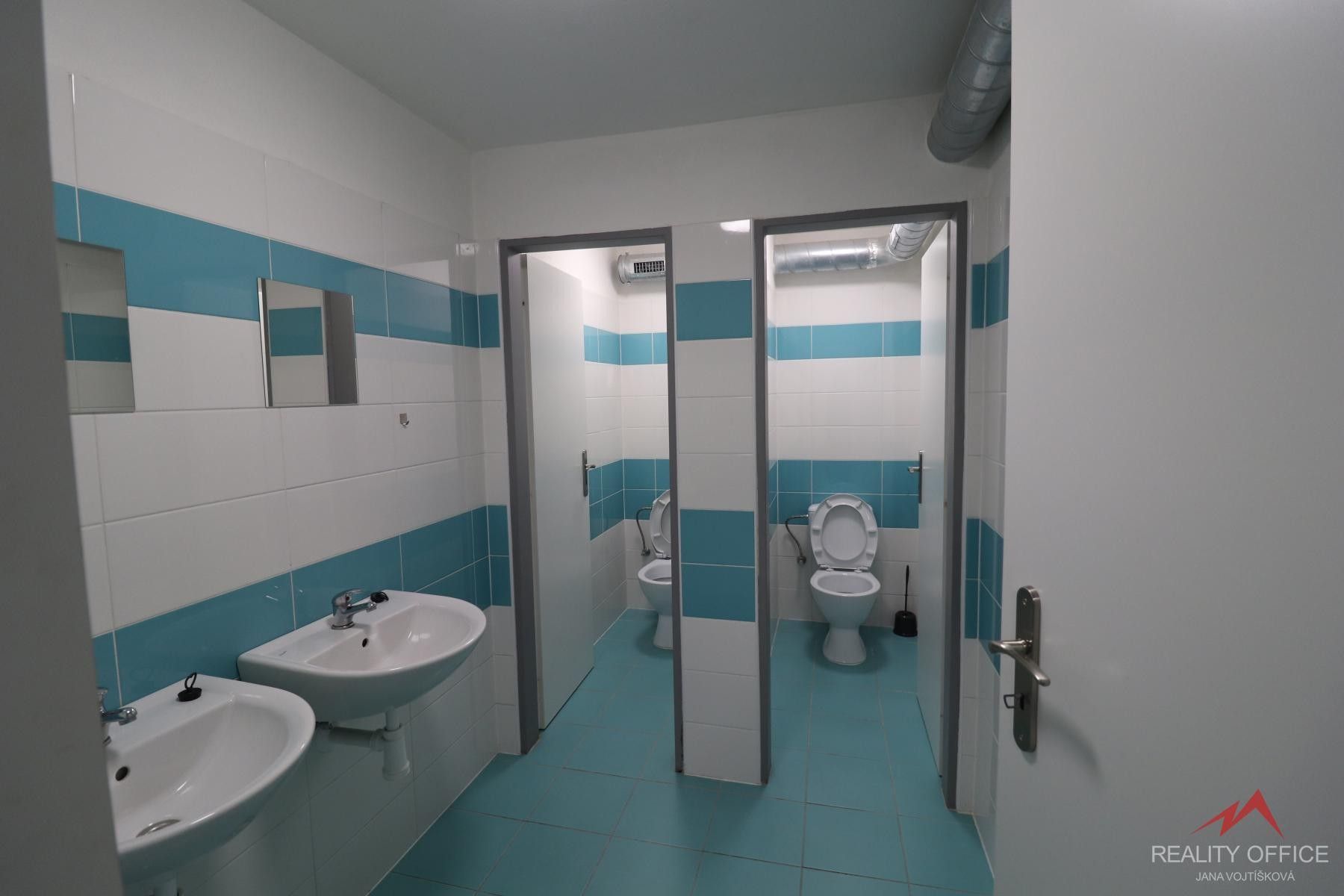 Pronájem nemovitosti 373 m² - foto 10