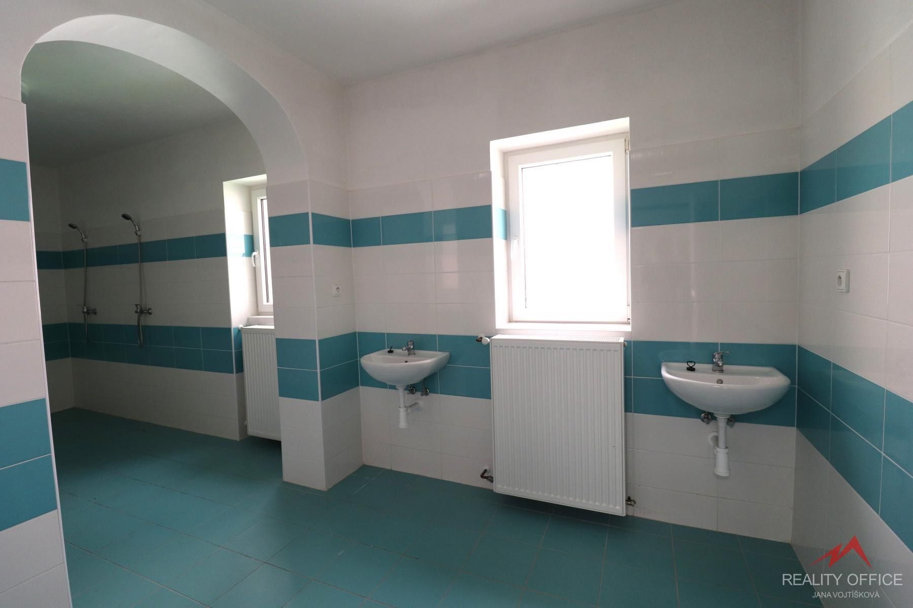 Pronájem nemovitosti 373 m² - foto 9