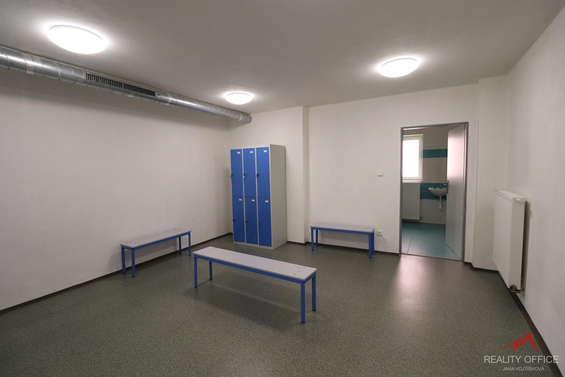Pronájem nemovitosti 373 m² - foto 13