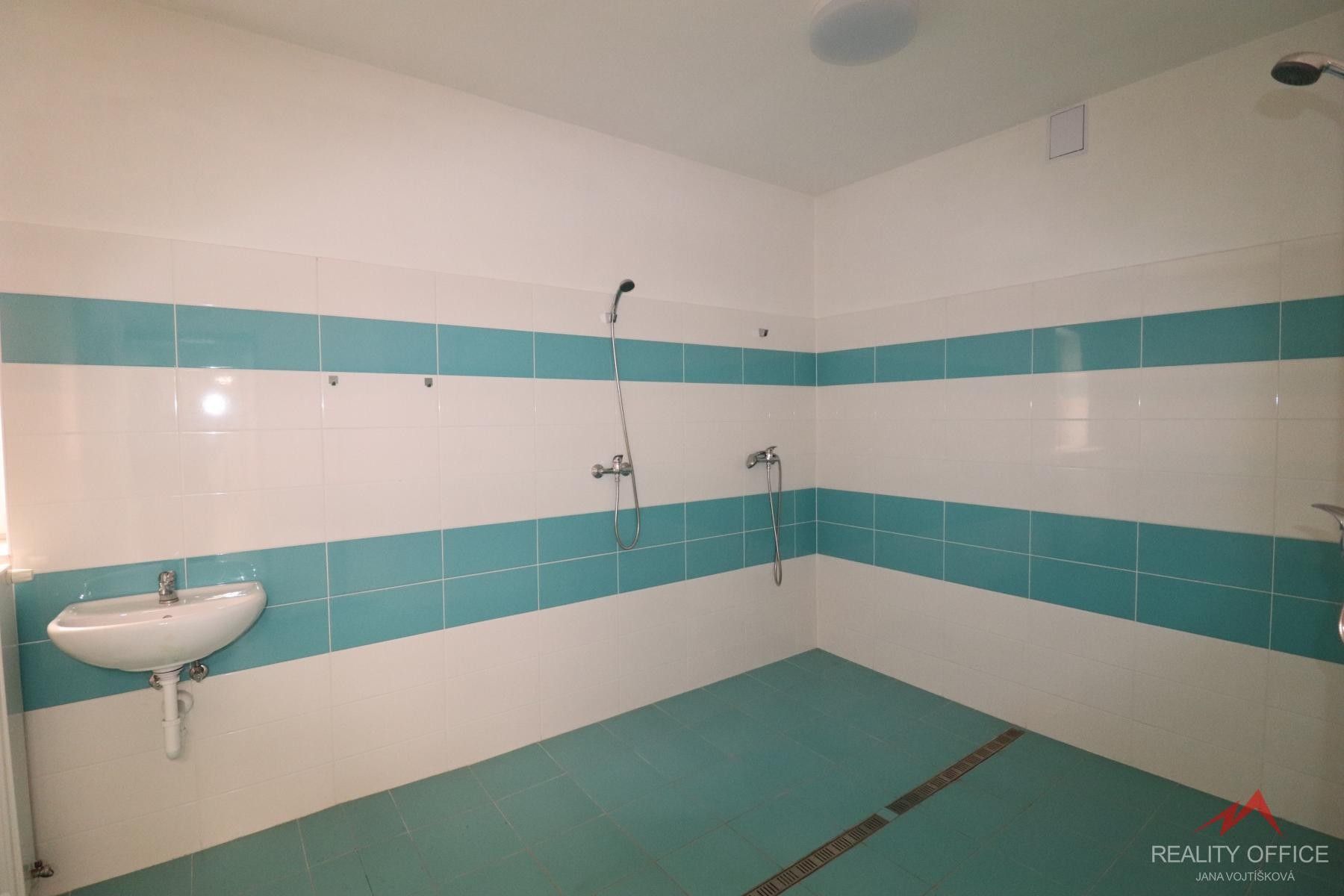 Pronájem nemovitosti 373 m² - foto 11