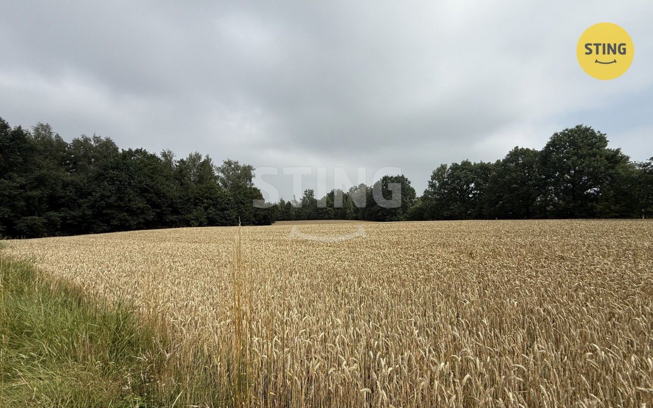 Prodej pozemku 1099 m² - foto 12
