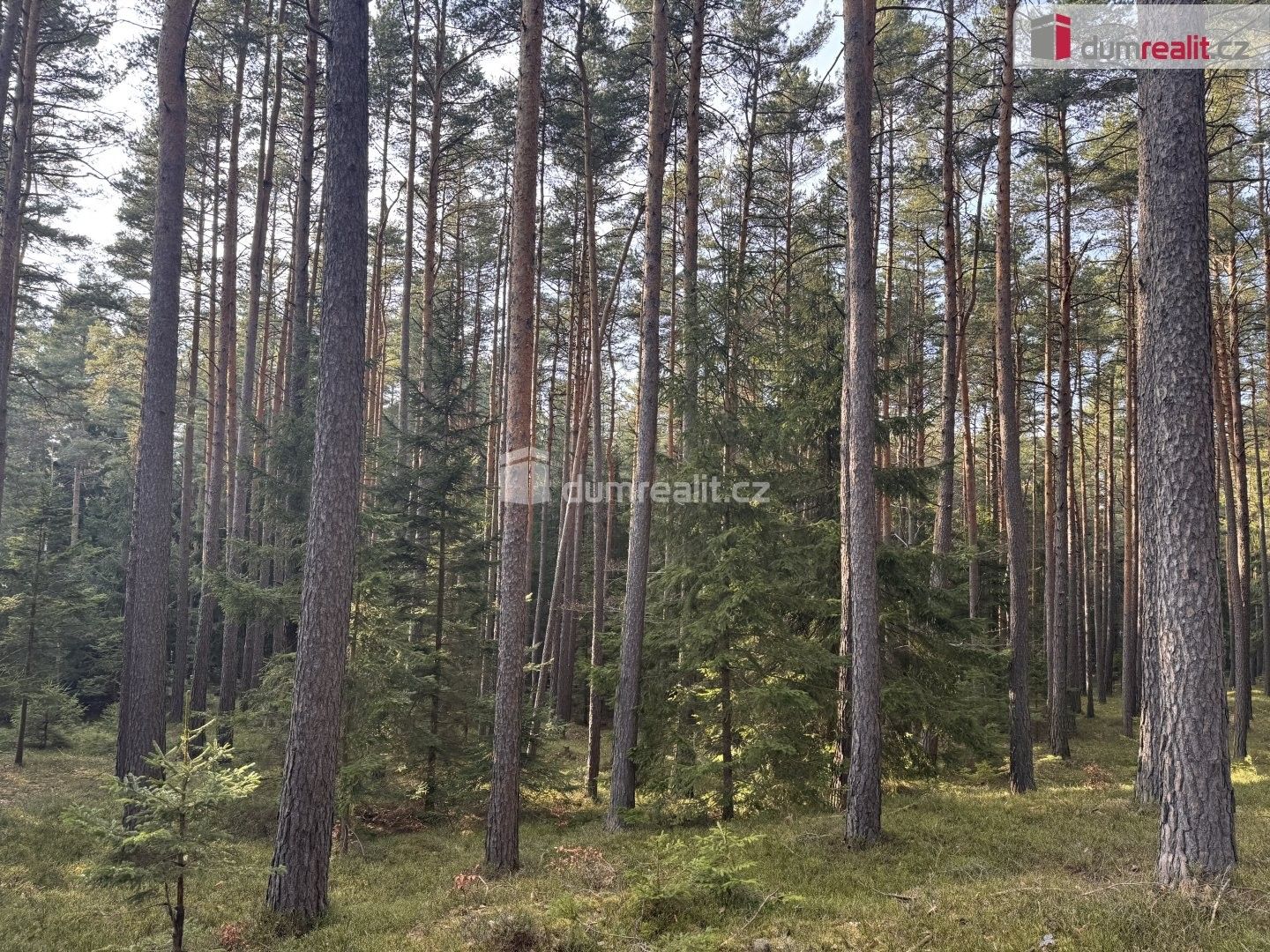 Prodej pozemku 4147 m² - foto 2