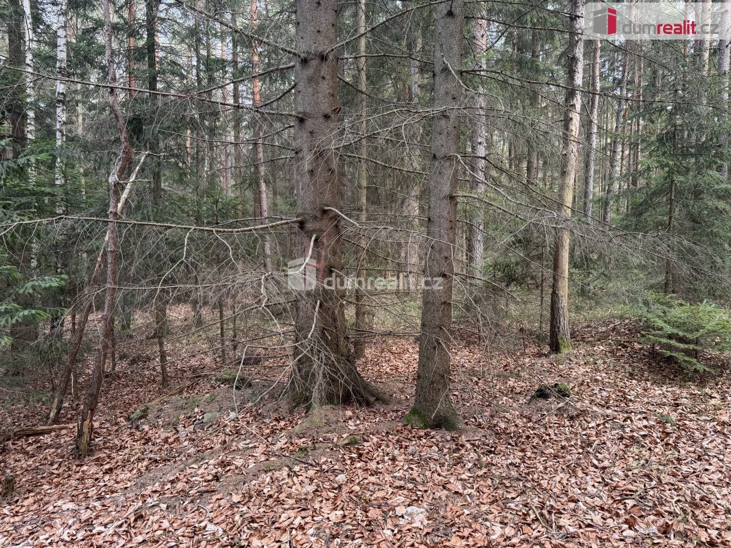 Prodej pozemku 4147 m² - foto 4