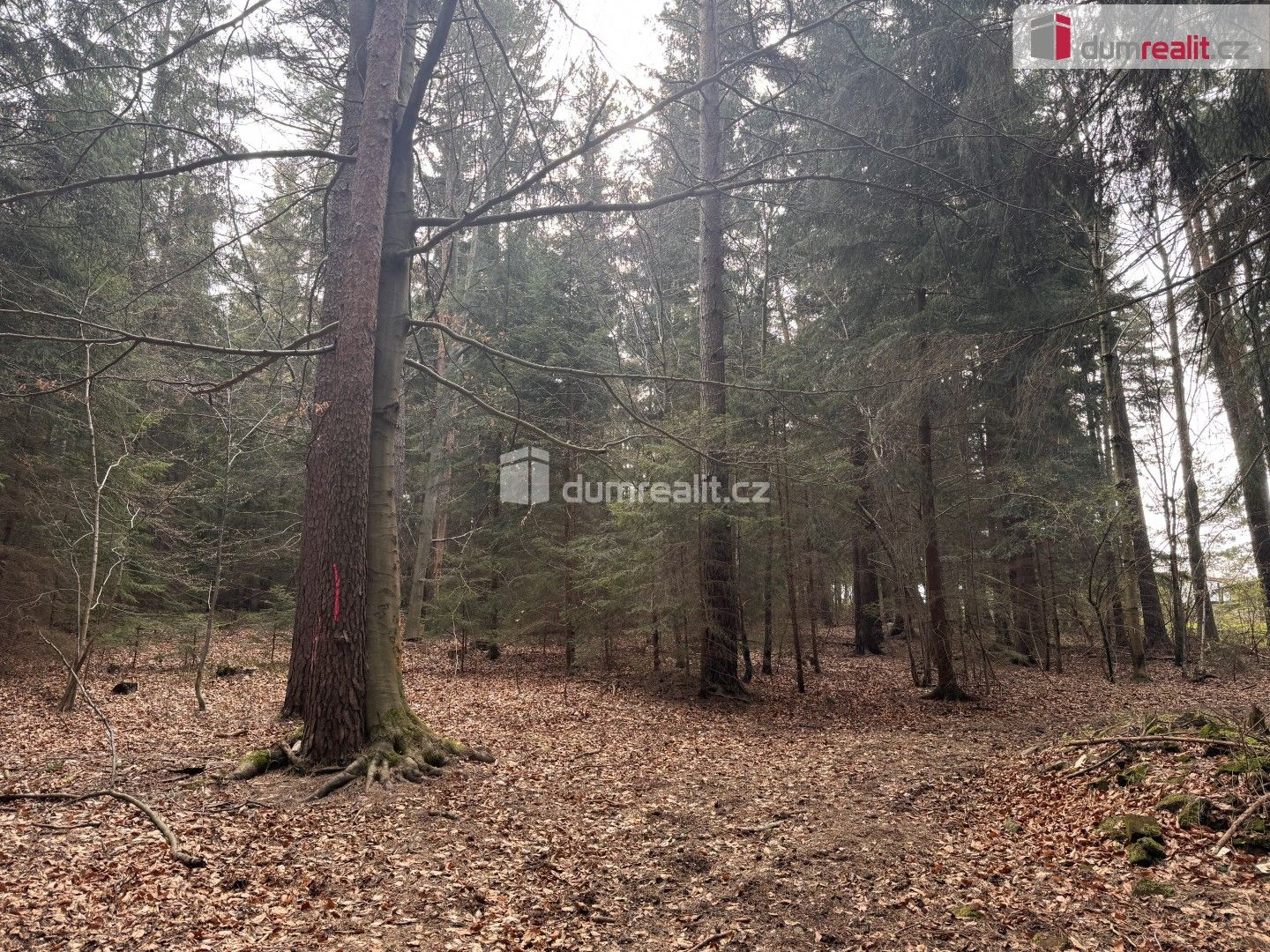 Prodej pozemku 4316 m² - foto 5