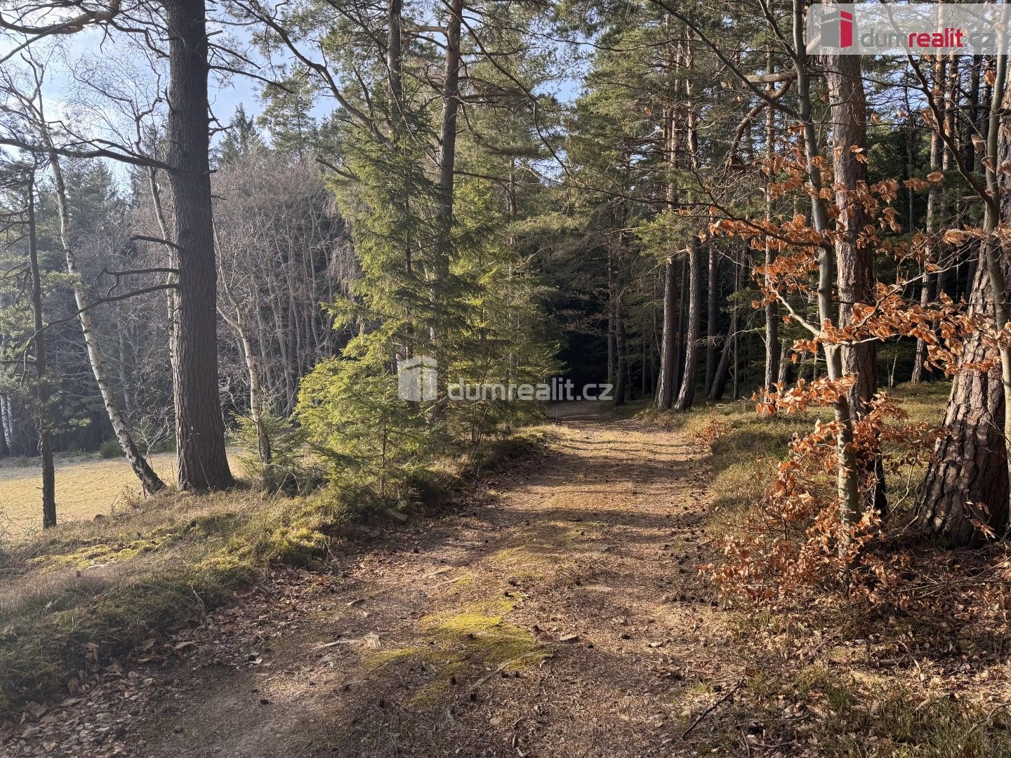 Prodej pozemku 2877 m² - foto 5