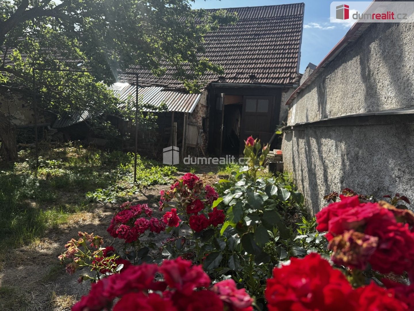 Prodej domu 505 m² - foto 13