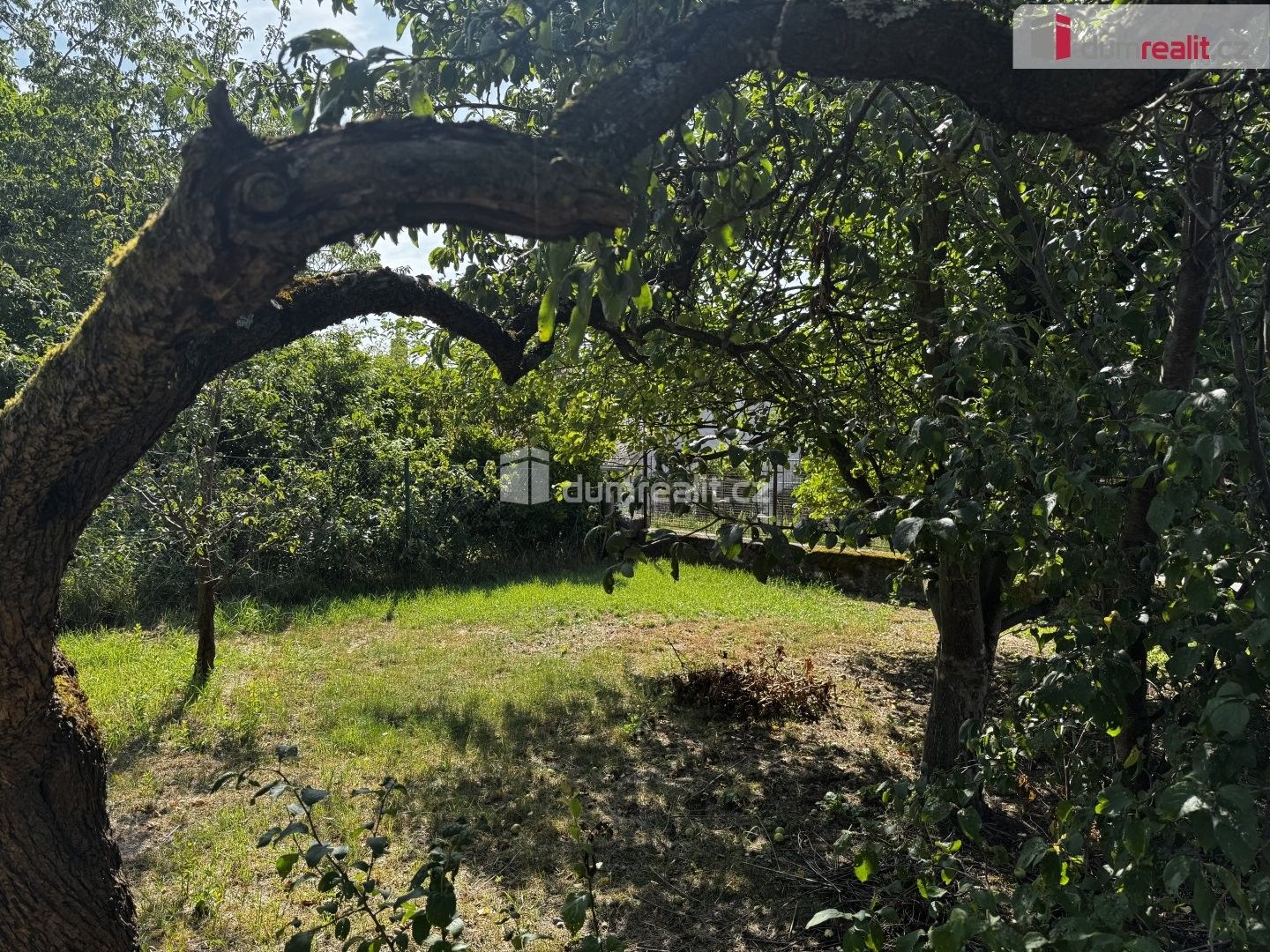 Prodej domu 505 m² - foto 18