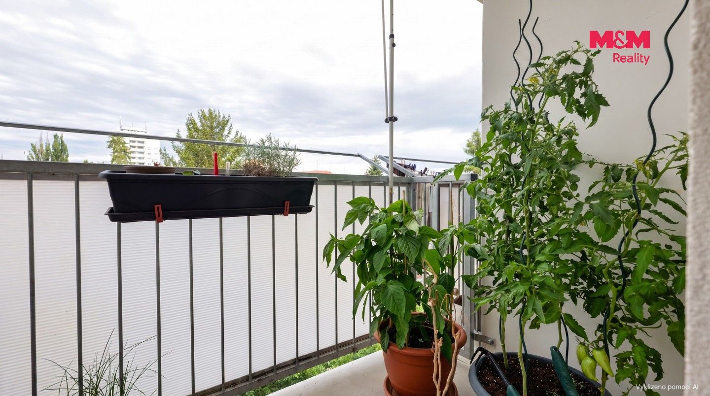 Prodej bytu 3+1 65 m² - foto 13