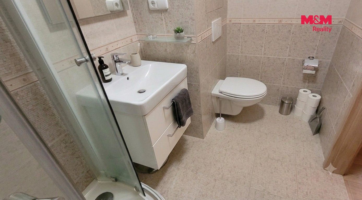 Pronájem bytu 2+1 55 m² - foto 15