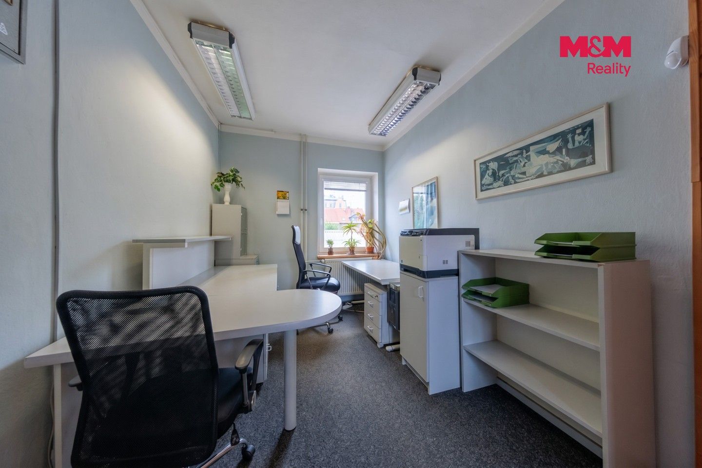 Prodej komerčního prostoru 900 m² - foto 9