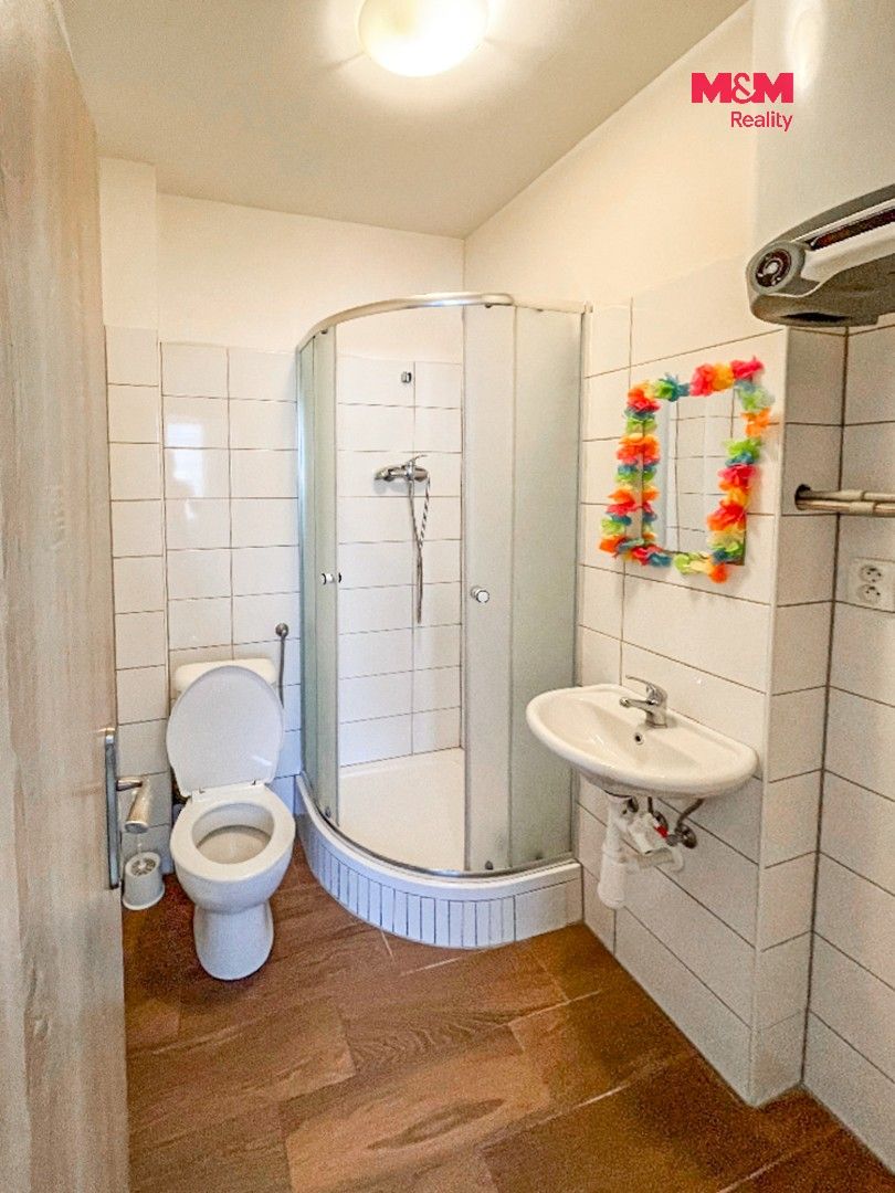 Pronájem bytu 2+1 60 m² - foto 3
