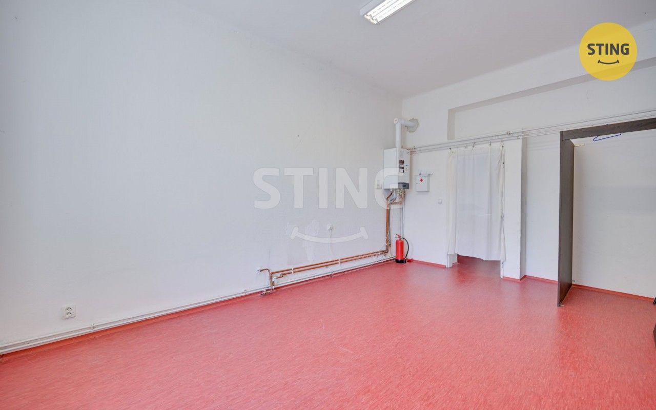 Prodej nemovitosti 320 m² - foto 16