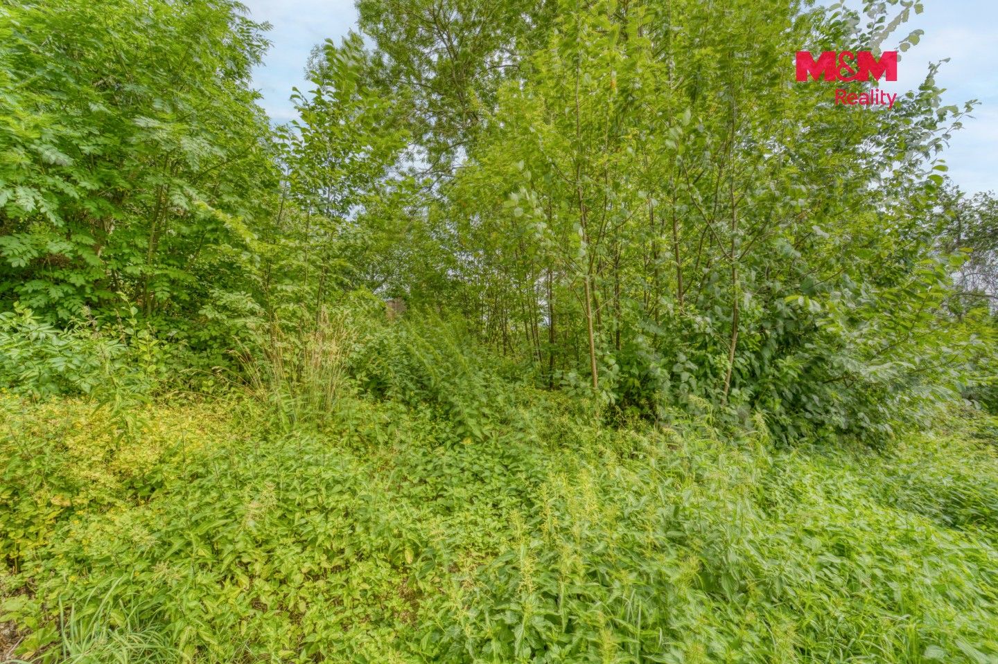 Prodej domu 63 m² - foto 10
