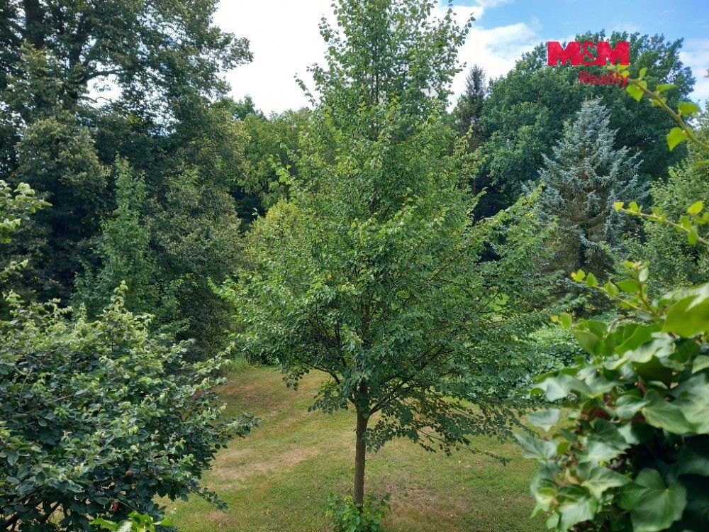 Pronájem bytu 2+1 73 m² - foto 10