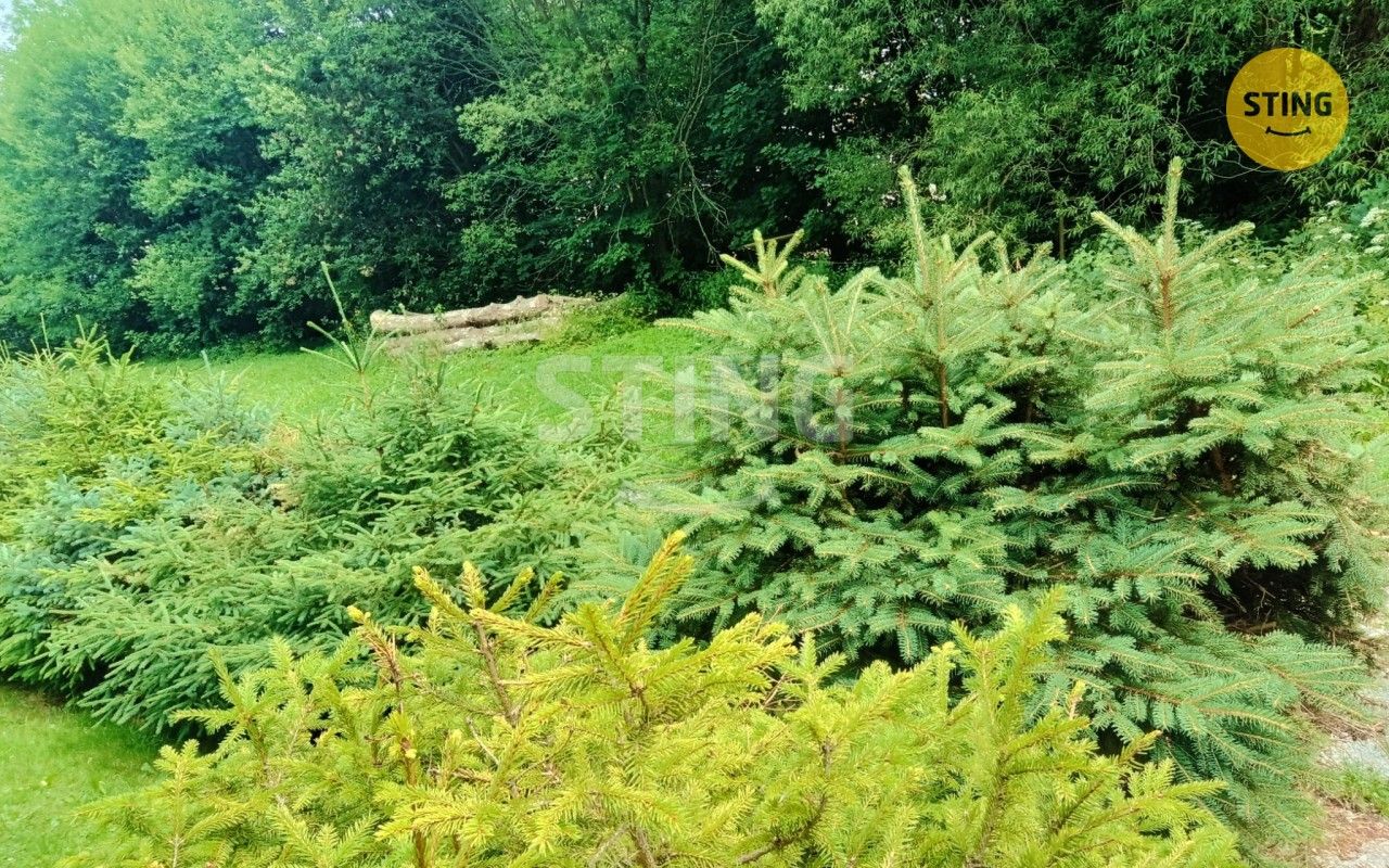Prodej domu 120 m² - foto 48