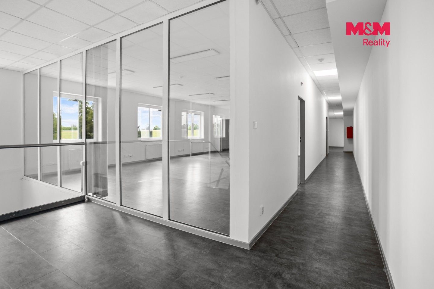 Pronájem komerčního prostoru 451 m² - foto 2