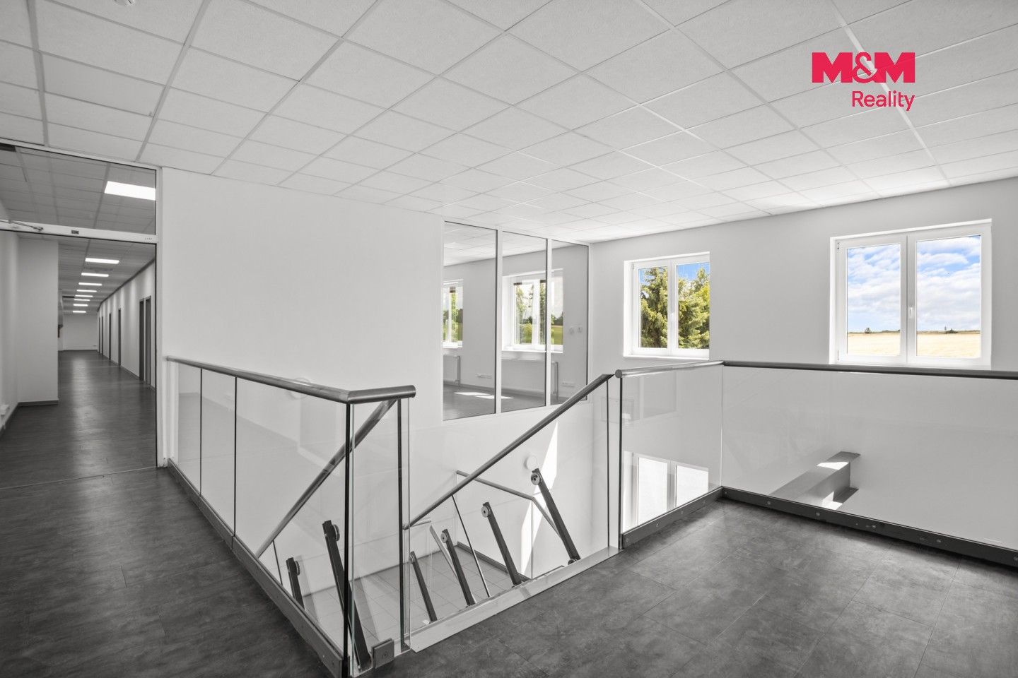 Pronájem komerčního prostoru 451 m² - foto 8