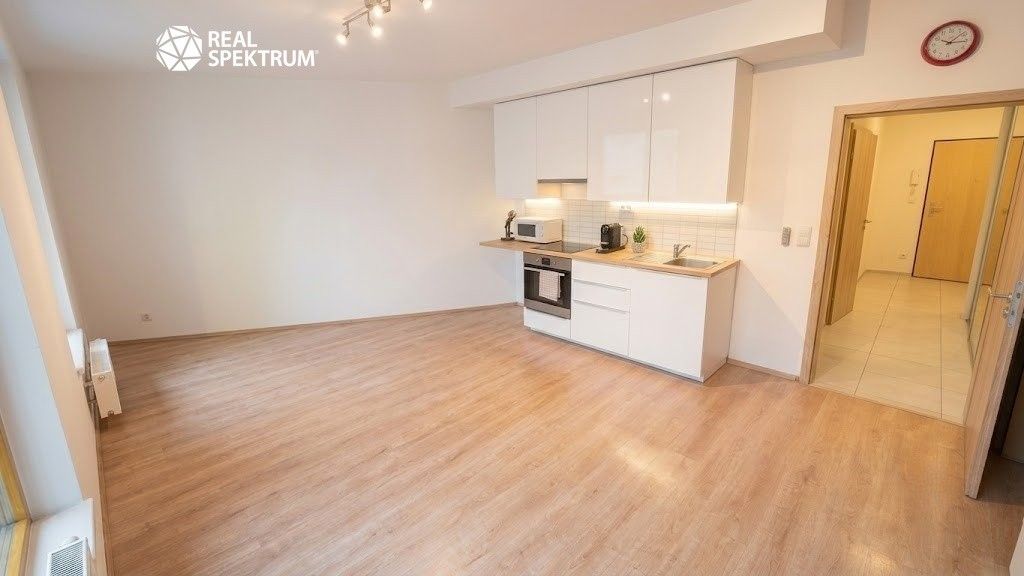 Pronájem bytu 1+kk 48 m² - foto 8