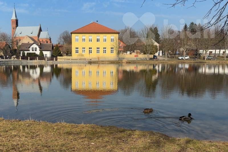 Prodej pozemku 699 m² - foto 9