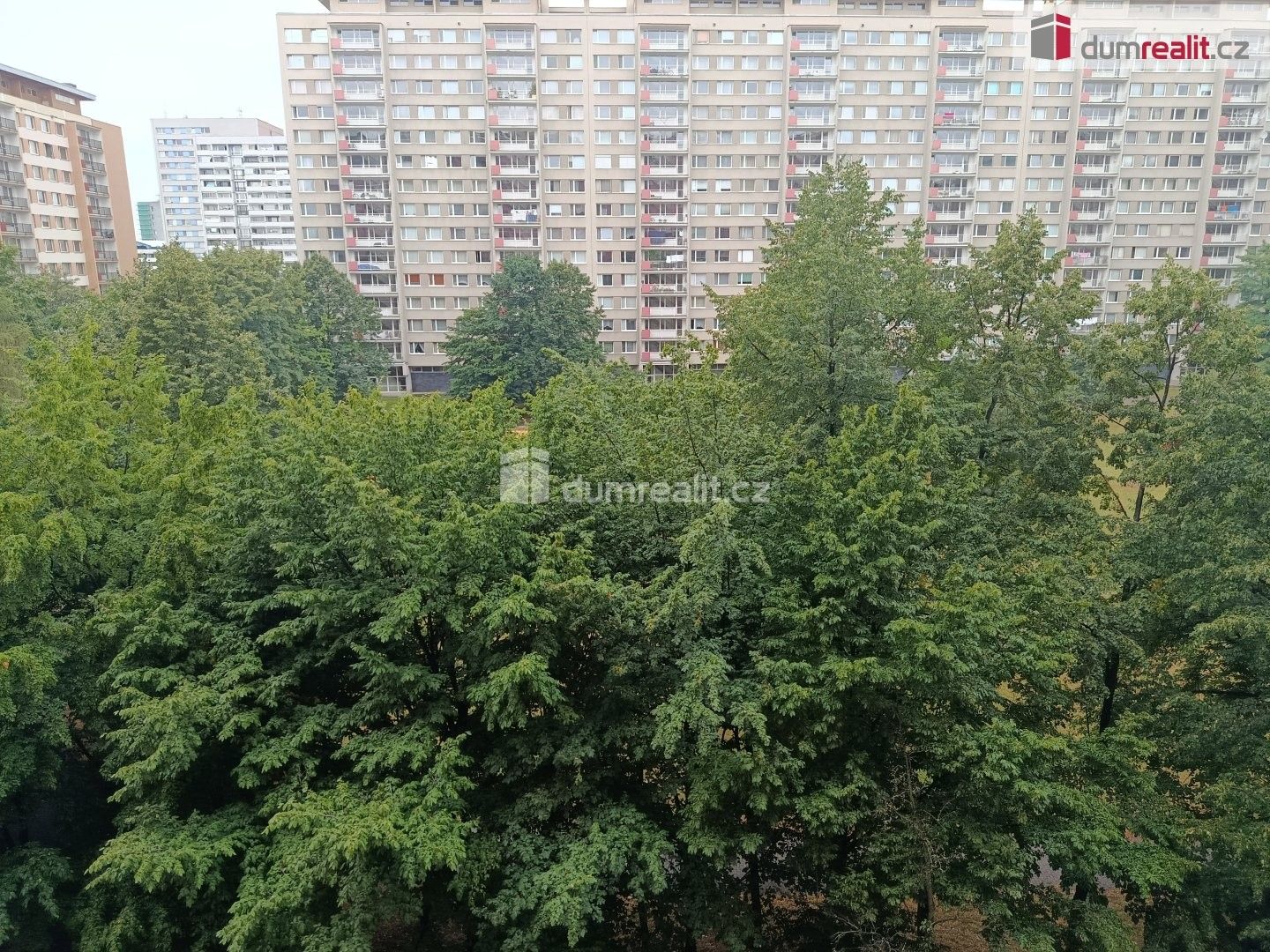 Pronájem bytu 2+kk 45 m² - foto 18
