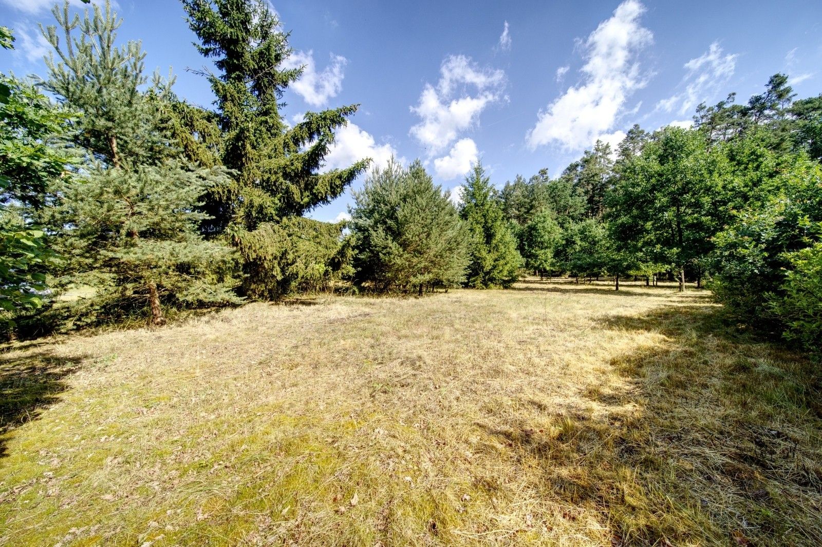 Prodej pozemku 1096 m² - foto 10