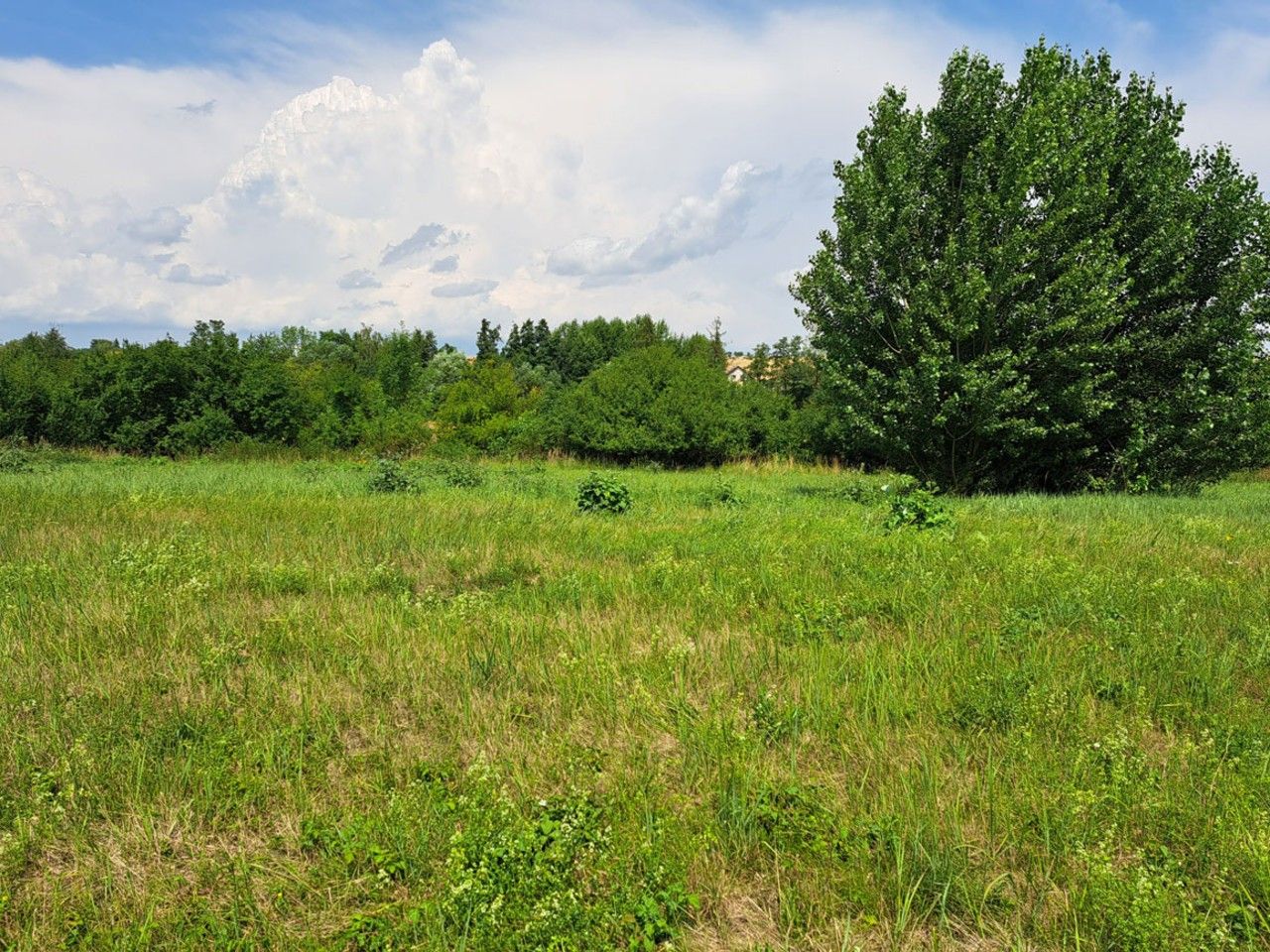 Prodej pozemku 1274 m² - foto 4