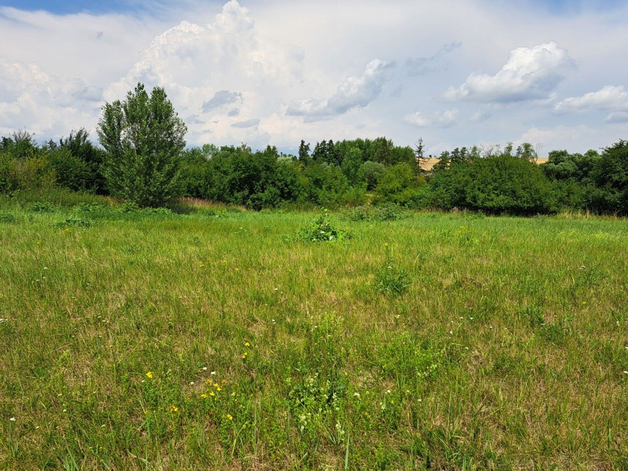 Prodej pozemku 1274 m² - foto 5