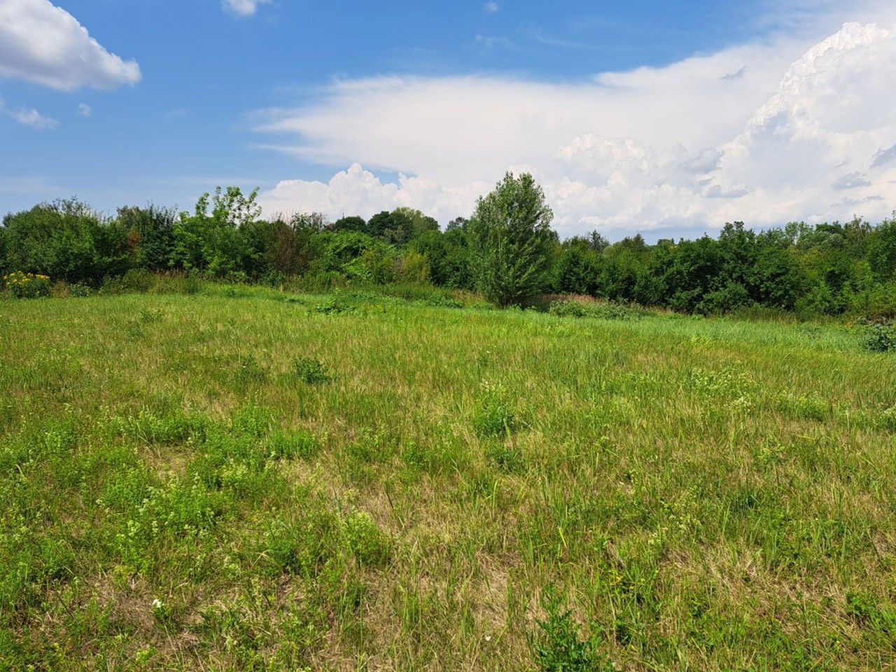 Prodej pozemku 1274 m² - foto 7