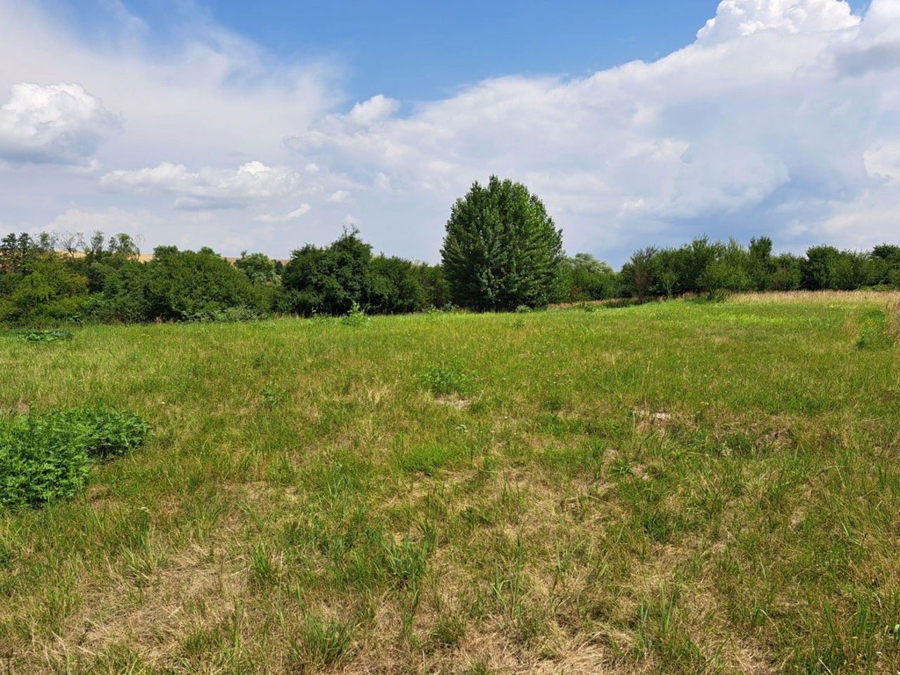 Prodej pozemku 1274 m² - foto 6