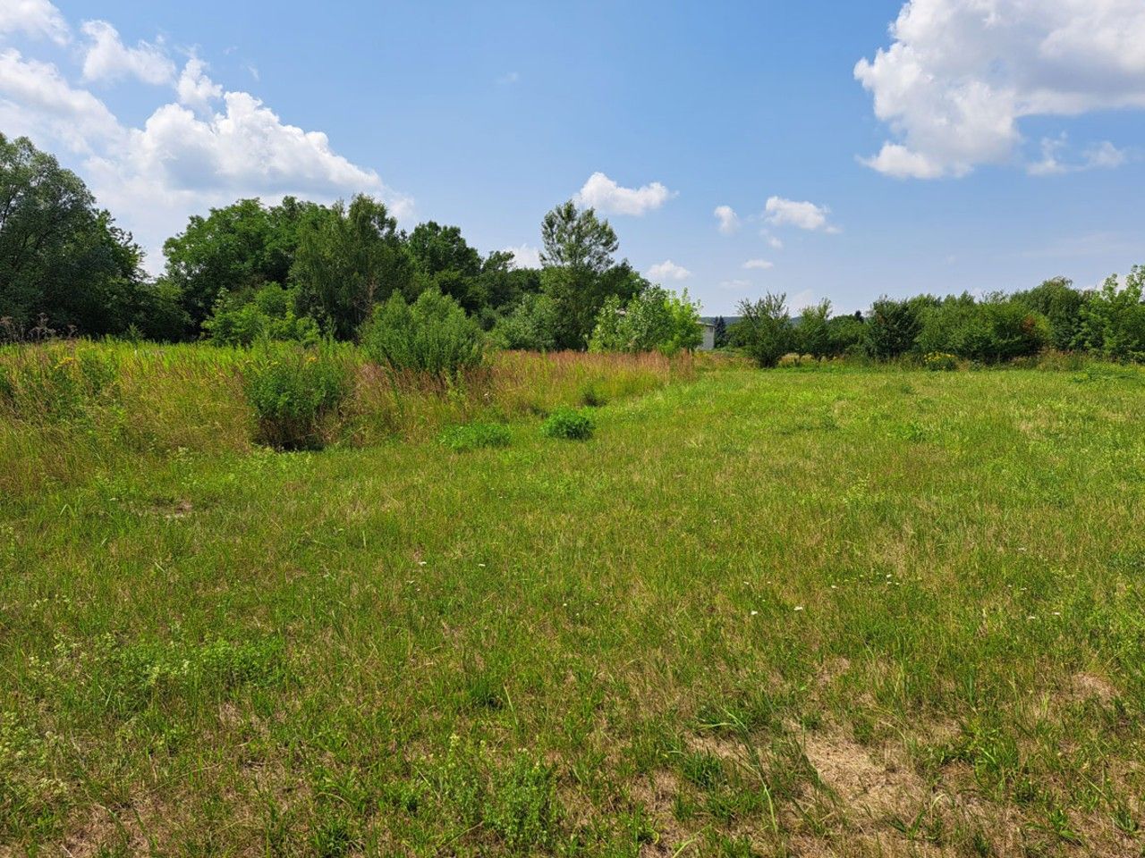 Prodej pozemku 1274 m² - foto 3