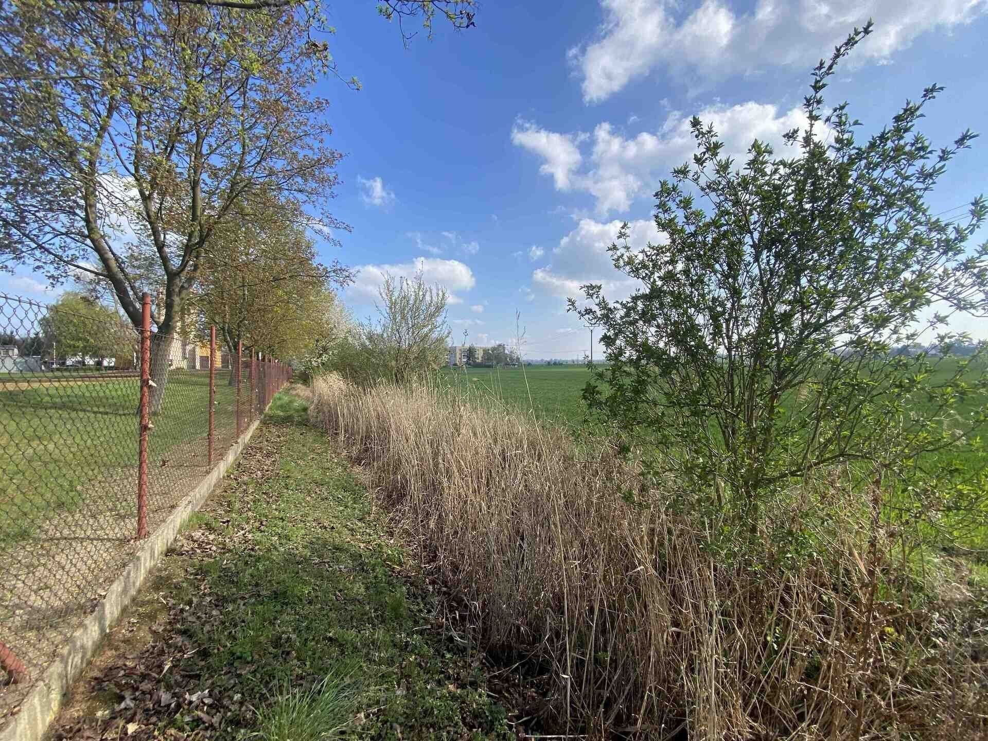 Prodej nemovitosti 3560 m² - foto 2