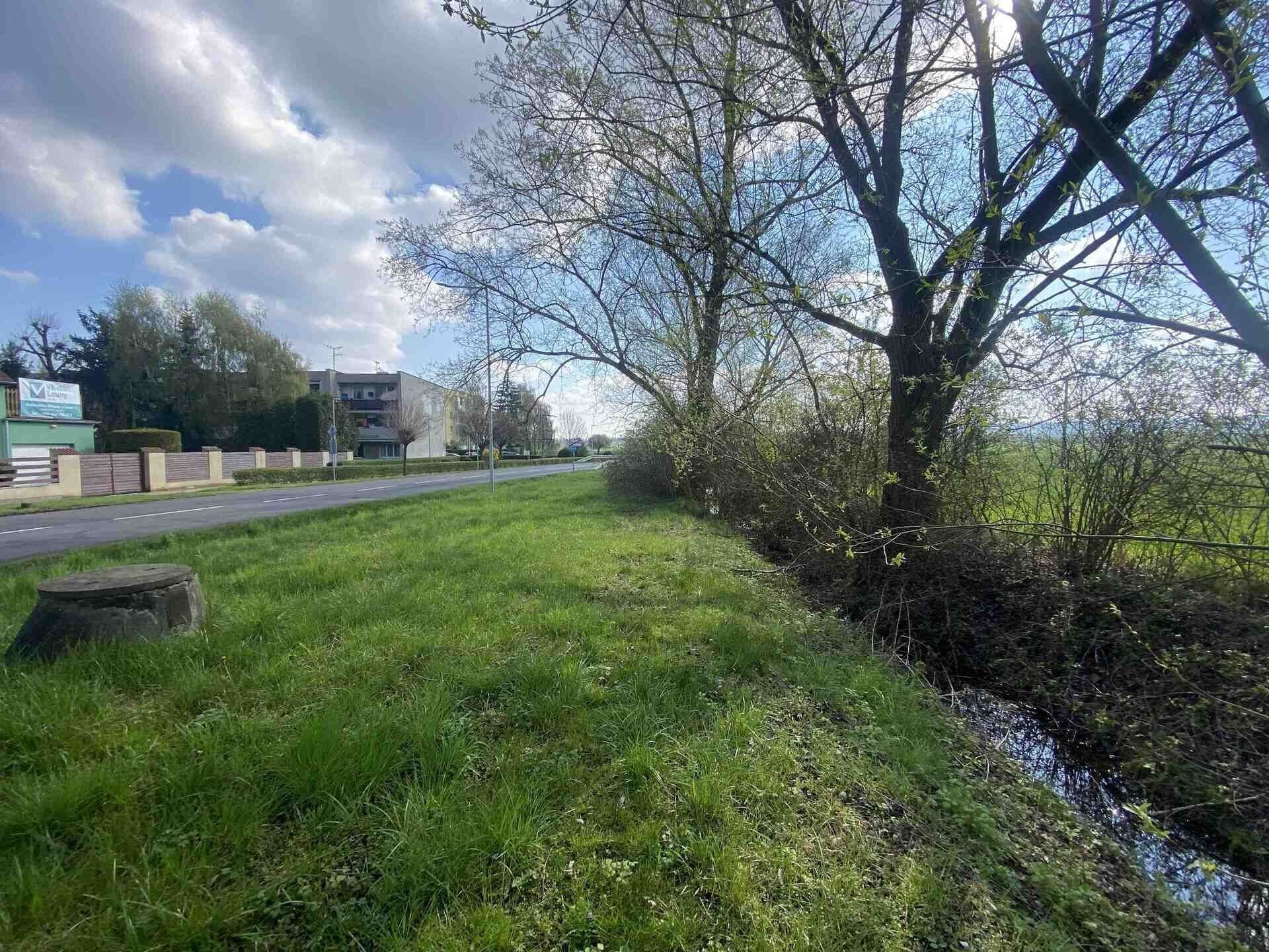 Prodej nemovitosti 3560 m² - foto 4