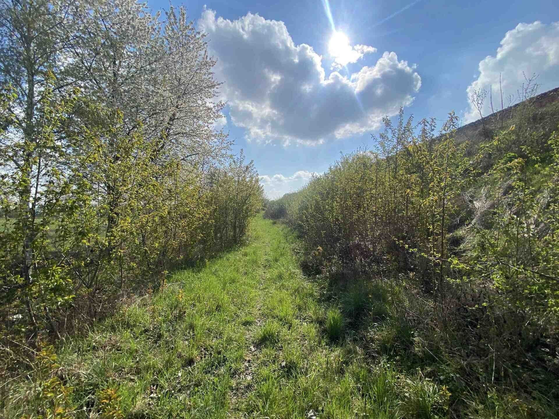 Prodej nemovitosti 3560 m² - foto 1