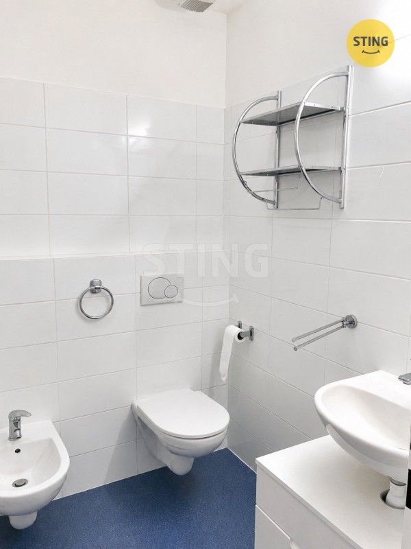 Pronájem bytu 3+kk 95 m² - foto 12
