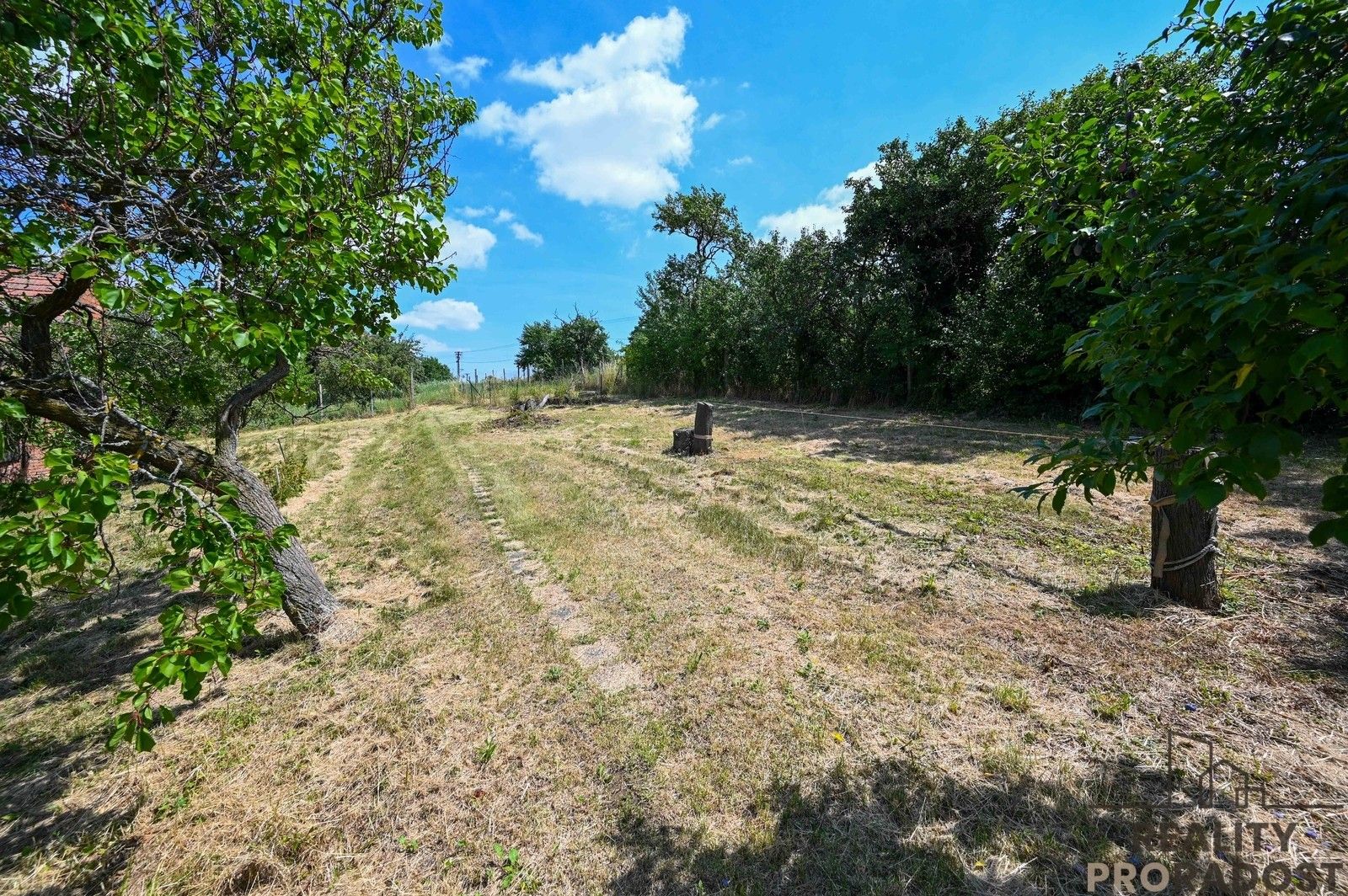 Prodej pozemku 1206 m² - foto 14