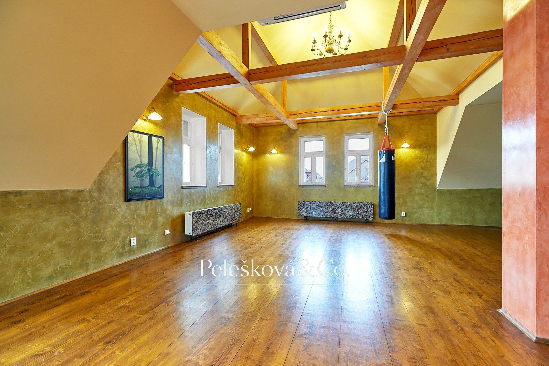 Pronájem bytu 4+kk 177 m² - foto 5