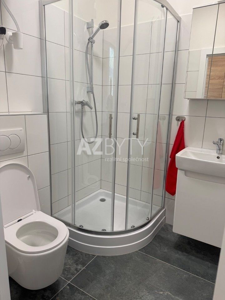 Pronájem bytu 1+kk 29 m² - foto 5
