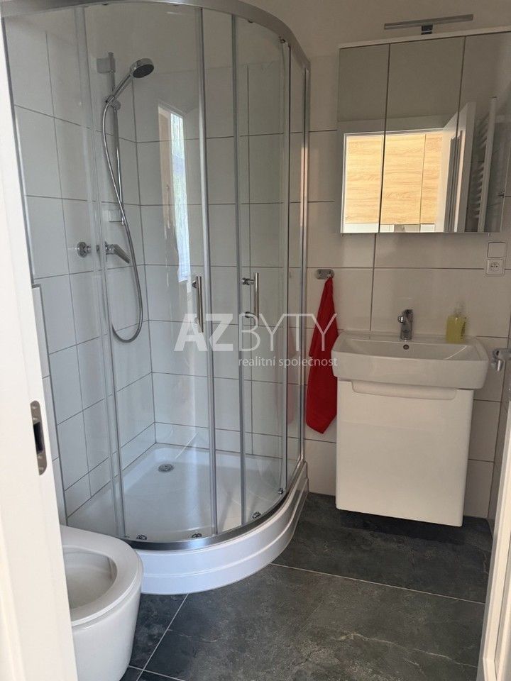 Pronájem bytu 1+kk 29 m² - foto 14