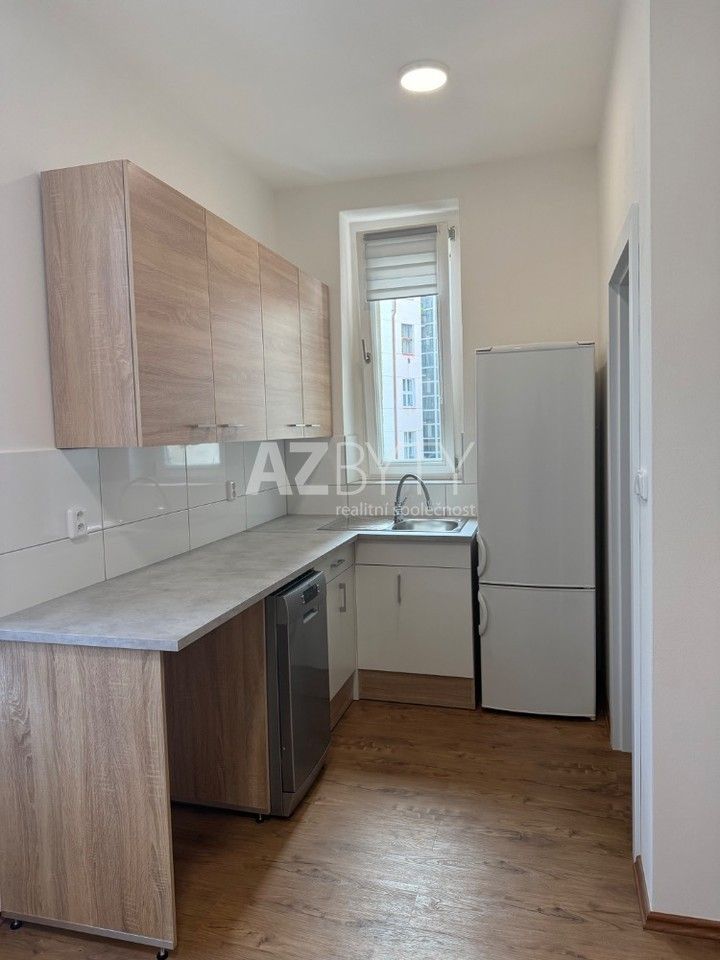 Pronájem bytu 1+kk 29 m² - foto 13