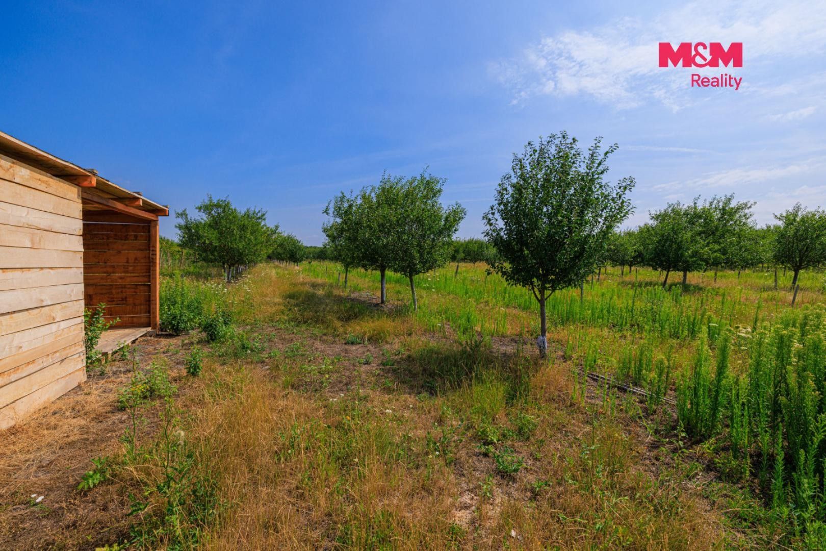 Prodej pozemku 53078 m² - foto 6