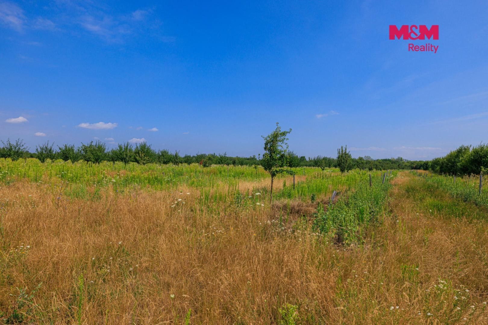 Prodej pozemku 123477 m² - foto 2